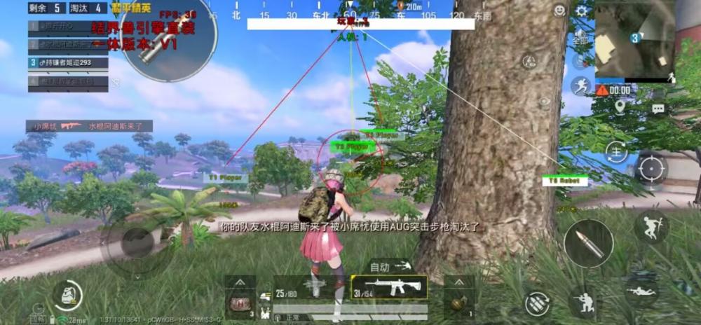 和平精英直装-【哔哩哔哩】